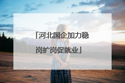 河北国企加力稳岗扩岗促就业
