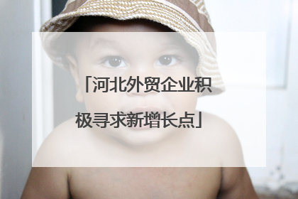 河北外贸企业积极寻求新增长点