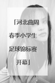 河北曲周春季小学生足球锦标赛开幕