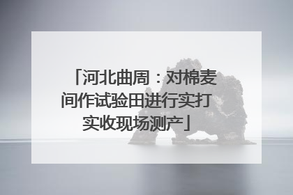 河北曲周：对棉麦间作试验田进行实打实收现场测产