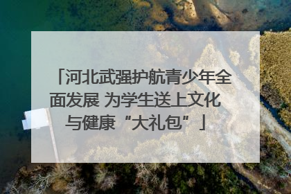 河北武强护航青少年全面发展 为学生送上文化与健康“大礼包”