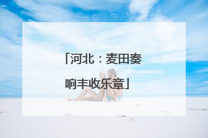 河北：麦田奏响丰收乐章
