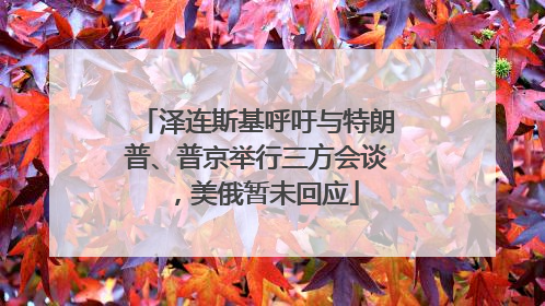 泽连斯基呼吁与特朗普、普京举行三方会谈，美俄暂未回应