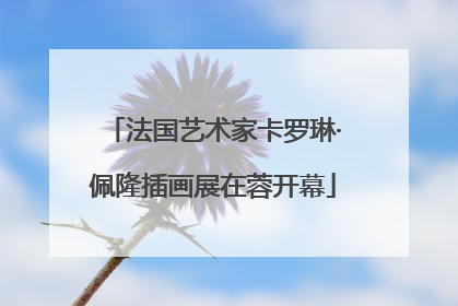 法国艺术家卡罗琳·佩隆插画展在蓉开幕