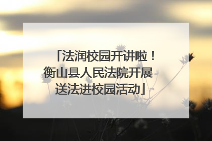 法润校园开讲啦！衡山县人民法院开展 送法进校园活动