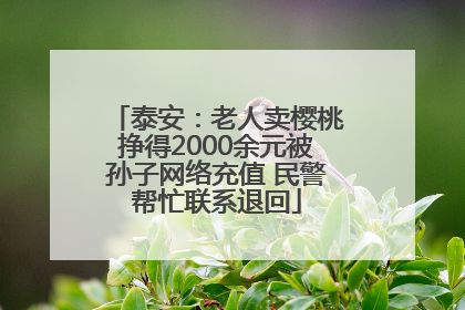 泰安：老人卖樱桃挣得2000余元被孙子网络充值 民警帮忙联系退回