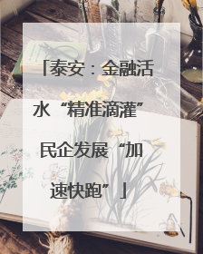 泰安：金融活水“精准滴灌” 民企发展“加速快跑”