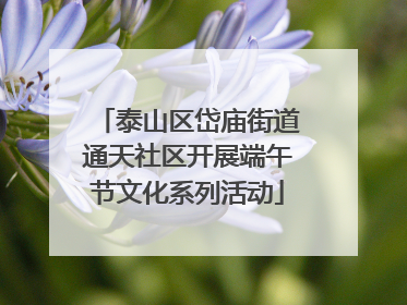 泰山区岱庙街道通天社区开展端午节文化系列活动