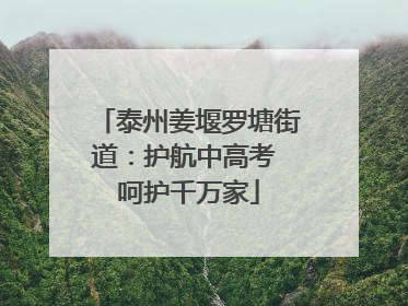 泰州姜堰罗塘街道：护航中高考 呵护千万家