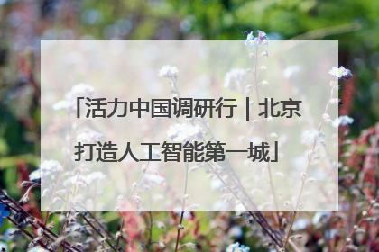 活力中国调研行｜北京打造人工智能第一城