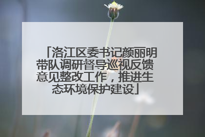 洛江区委书记颜丽明带队调研督导巡视反馈意见整改工作，推进生态环境保护建设
