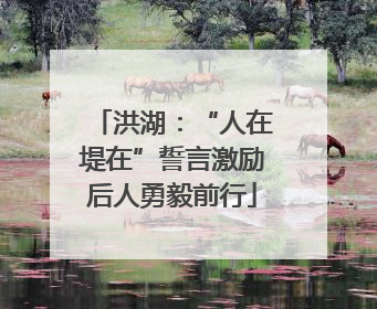 洪湖：“人在堤在”誓言激励后人勇毅前行