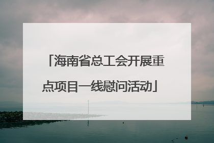 海南省总工会开展重点项目一线慰问活动