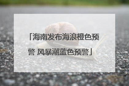 海南发布海浪橙色预警 风暴潮蓝色预警
