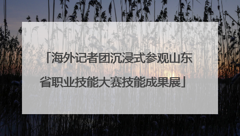 海外记者团沉浸式参观山东省职业技能大赛技能成果展