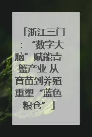 浙江三门：“数字大脑”赋能青蟹产业 从育苗到养殖重塑“蓝色粮仓”