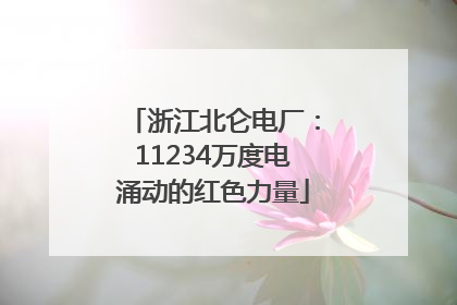 浙江北仑电厂：11234万度电涌动的红色力量