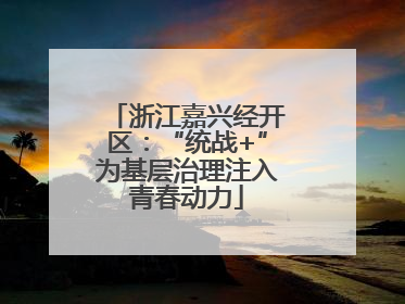 浙江嘉兴经开区：“统战+”为基层治理注入青春动力