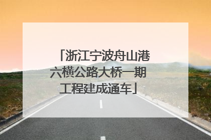 浙江宁波舟山港六横公路大桥一期工程建成通车
