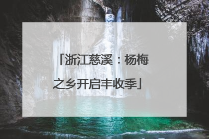 浙江慈溪：杨梅之乡开启丰收季