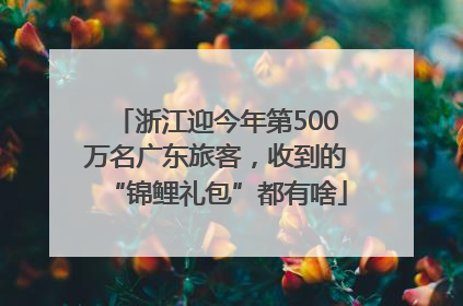 浙江迎今年第500万名广东旅客，收到的“锦鲤礼包”都有啥