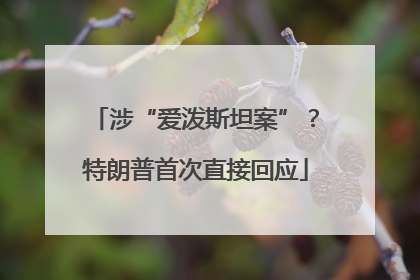 涉“爱泼斯坦案”？特朗普首次直接回应