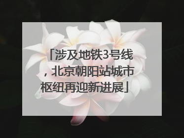 涉及地铁3号线，北京朝阳站城市枢纽再迎新进展