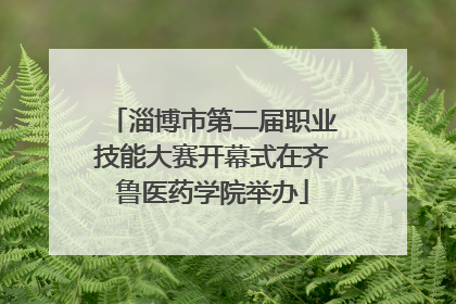 淄博市第二届职业技能大赛开幕式在齐鲁医药学院举办