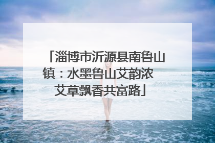 淄博市沂源县南鲁山镇：水墨鲁山艾韵浓 艾草飘香共富路