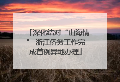 深化结对“山海情” 浙江侨务工作完成首例异地办理
