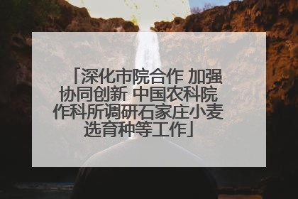 深化市院合作 加强协同创新 中国农科院作科所调研石家庄小麦选育种等工作
