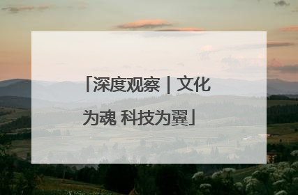 深度观察｜文化为魂 科技为翼