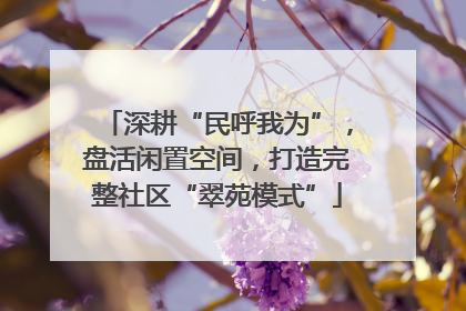 深耕“民呼我为”，盘活闲置空间，打造完整社区“翠苑模式”
