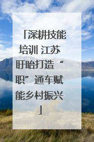 深耕技能培训 江苏盱眙打造“职”通车赋能乡村振兴