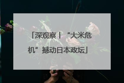 深观察丨“大米危机”撼动日本政坛