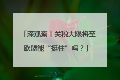 深观察丨关税大限将至欧盟能“挺住”吗？