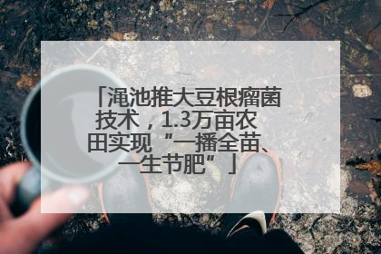 渑池推大豆根瘤菌技术，1.3万亩农田实现“一播全苗、一生节肥”