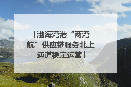 渤海湾港“两湾一航”供应链服务北上通道稳定运营