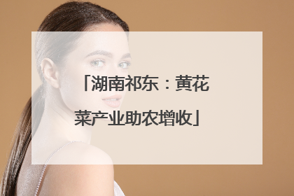 湖南祁东：黄花菜产业助农增收