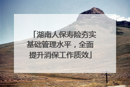 湖南人保寿险夯实基础管理水平，全面提升消保工作质效
