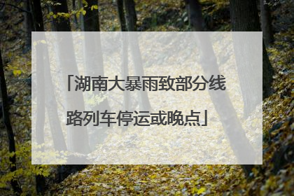 湖南大暴雨致部分线路列车停运或晚点
