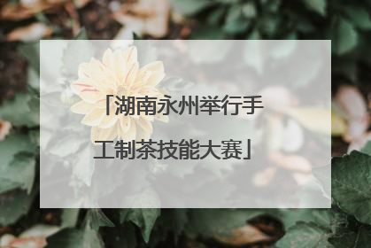 湖南永州举行手工制茶技能大赛