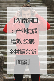 湖南洞口：产业提质增效 绘就乡村振兴新图景
