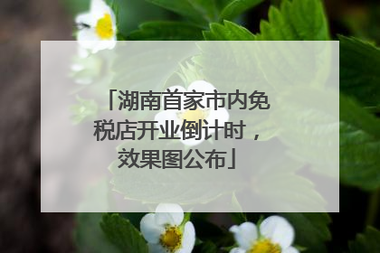湖南首家市内免税店开业倒计时，效果图公布