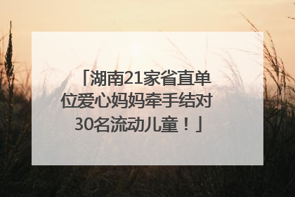 湖南21家省直单位爱心妈妈牵手结对30名流动儿童！