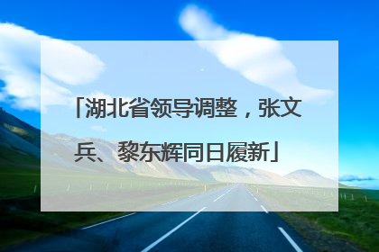 湖北省领导调整，张文兵、黎东辉同日履新