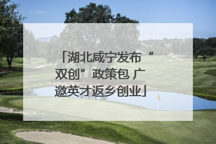 湖北咸宁发布“双创”政策包 广邀英才返乡创业