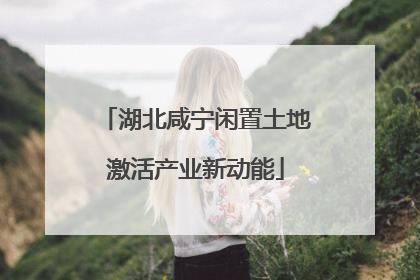 湖北咸宁闲置土地激活产业新动能