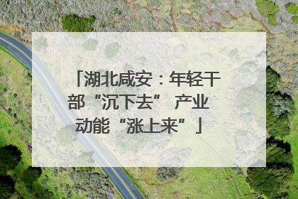 湖北咸安：年轻干部“沉下去” 产业动能“涨上来”
