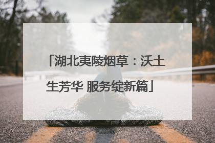 湖北夷陵烟草：沃土生芳华 服务绽新篇